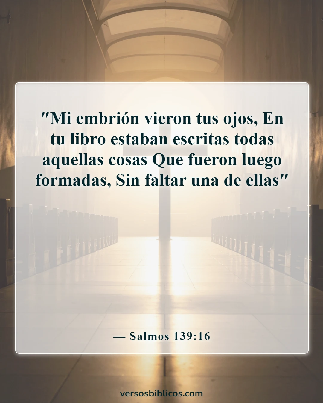 Versículos de la Biblia sobre cómo encontrar la paz en la muerte (Salmos 139:16)