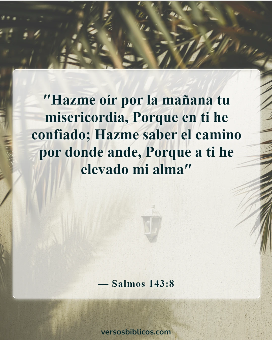 Versículos de la Biblia sobre la duda (Salmos 143:8)