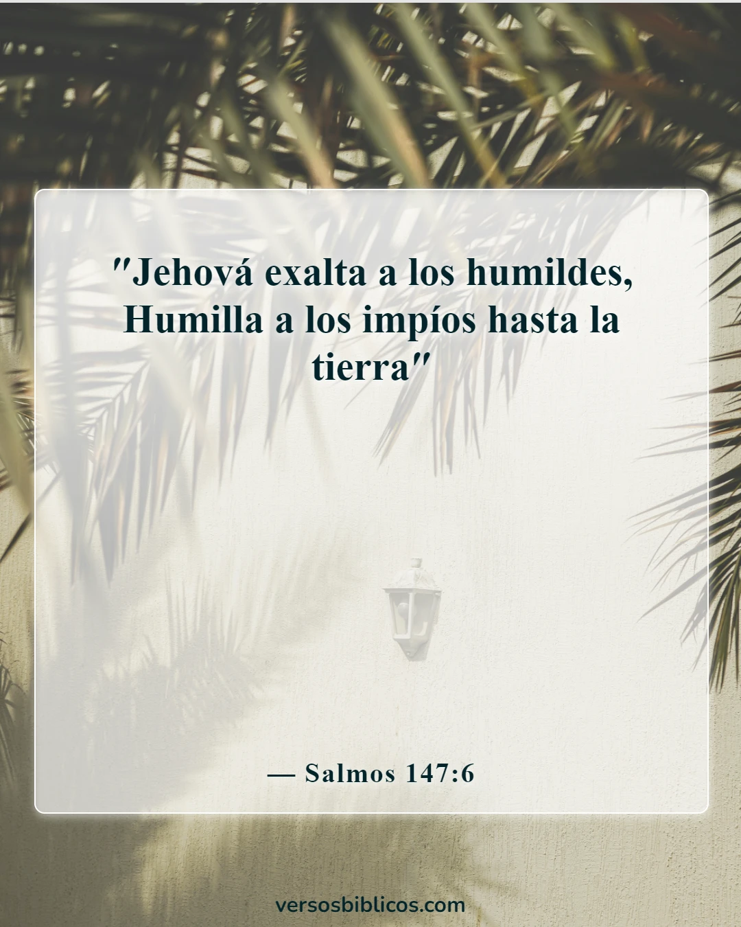 Versículos de la Biblia sobre Dios levanta a los humildes (Salmos 147:6)