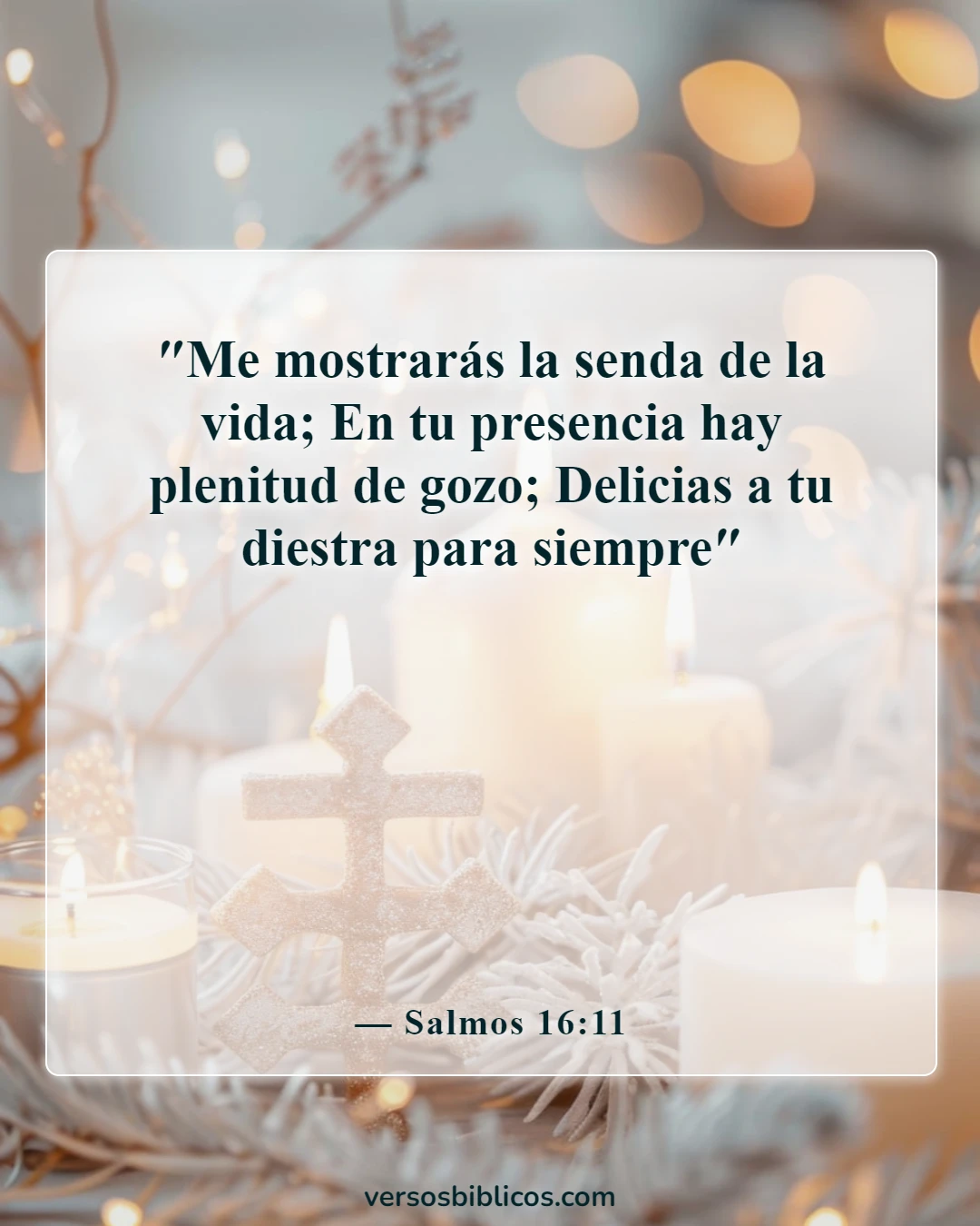 Versículos de la Biblia sobre la alegría (Salmos 16:11)