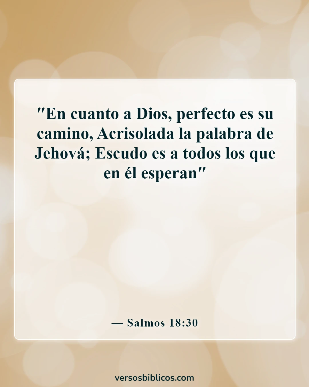 Versículos de la Biblia sobre Dios no miente (Salmos 18:30)