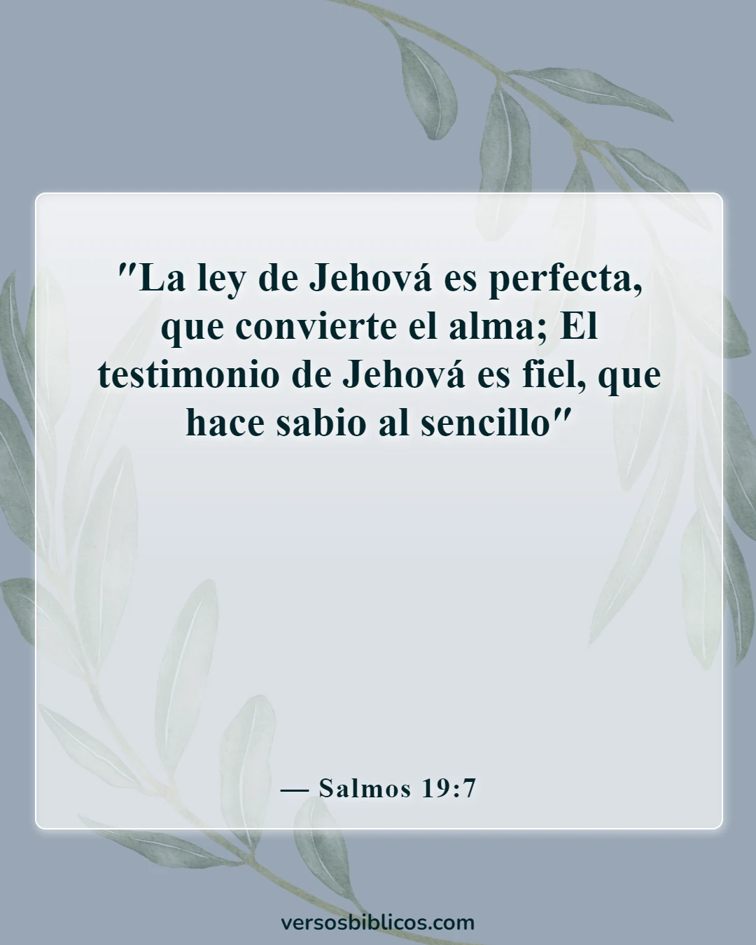 Versículos de la Biblia sobre la Palabra de Dios (Salmos 19:7)