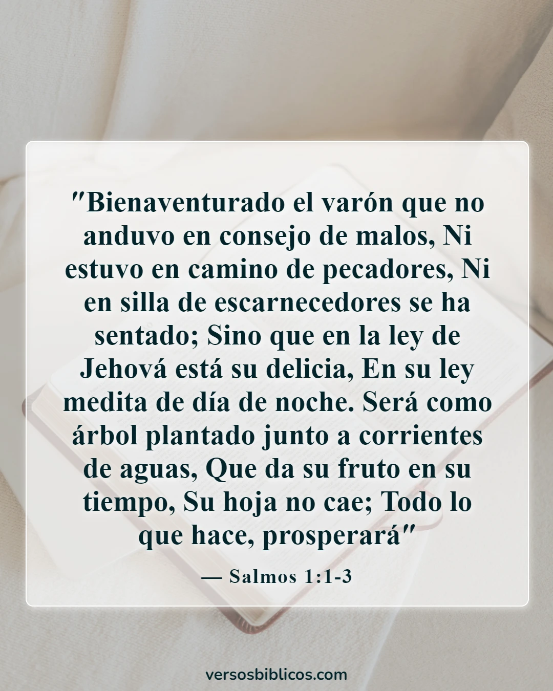 Versículos de la Biblia sobre el lunes (Salmos 1:1-3)