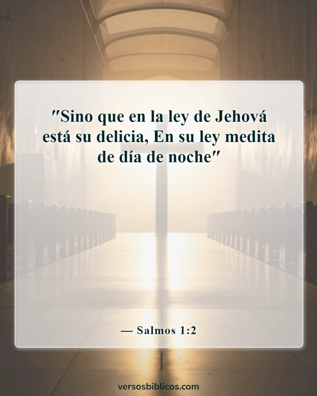 Versículos de la Biblia sobre recordar a Dios (Salmos 1:2)