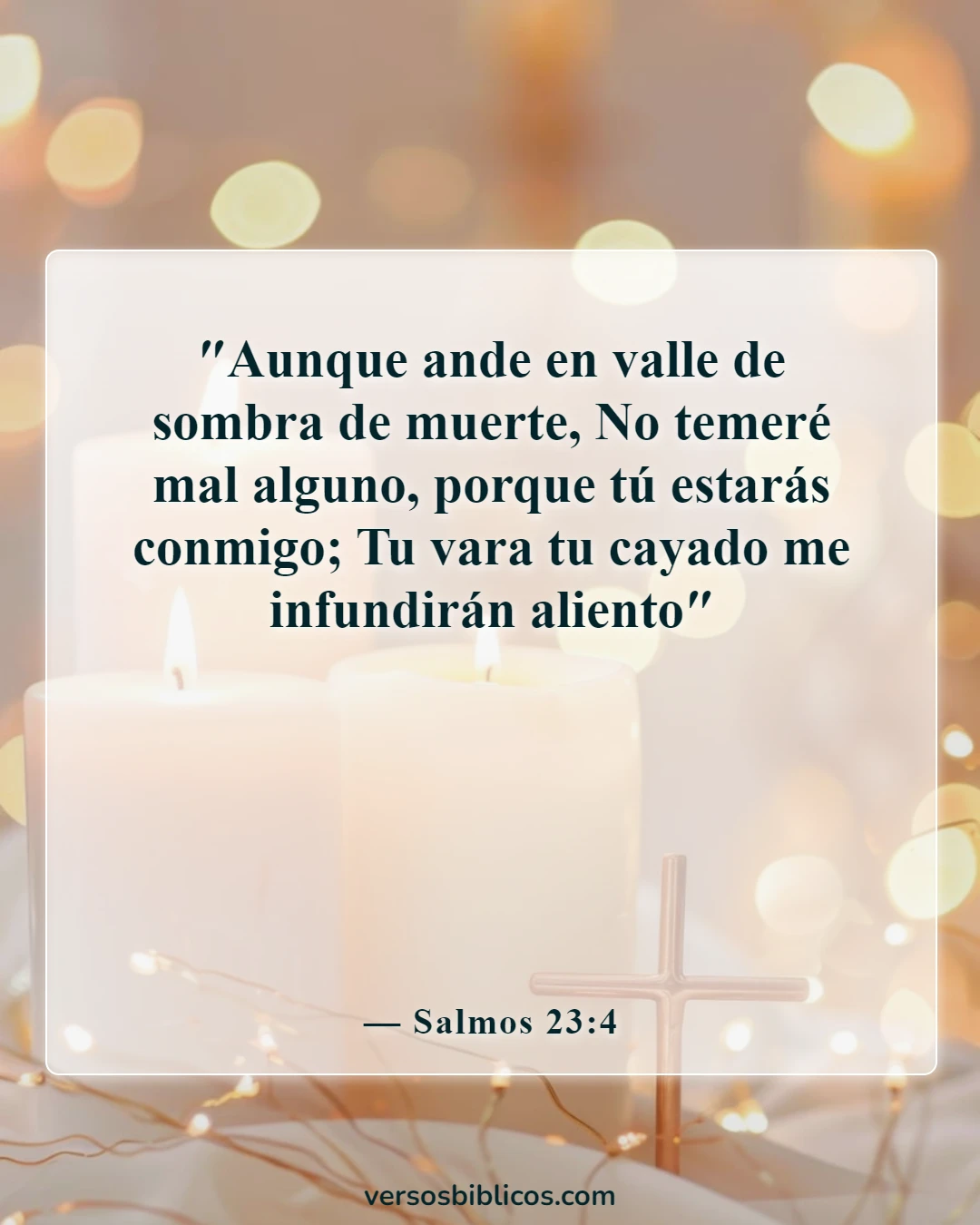 Versículos de la Biblia sobre la soledad (Salmos 23:4)