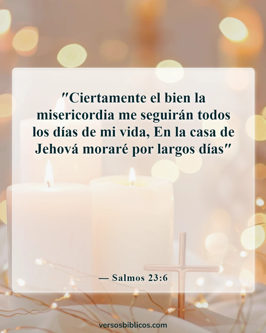 Versículos de la Biblia sobre el lunes (Salmos 23:6)