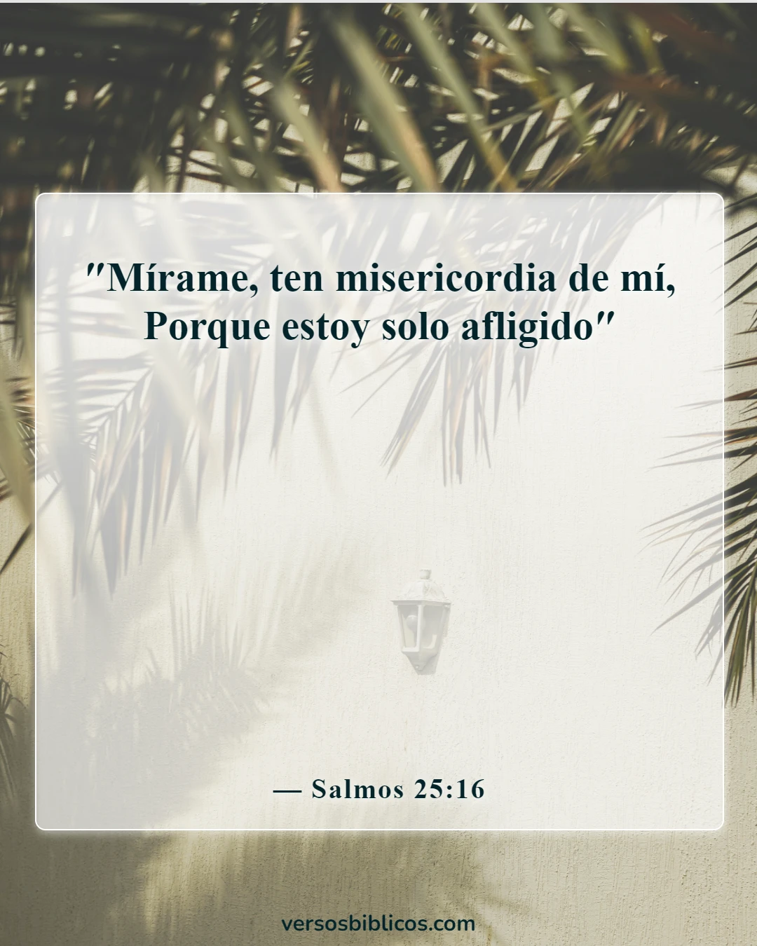 Versículos de la Biblia sobre la soledad (Salmos 25:16)
