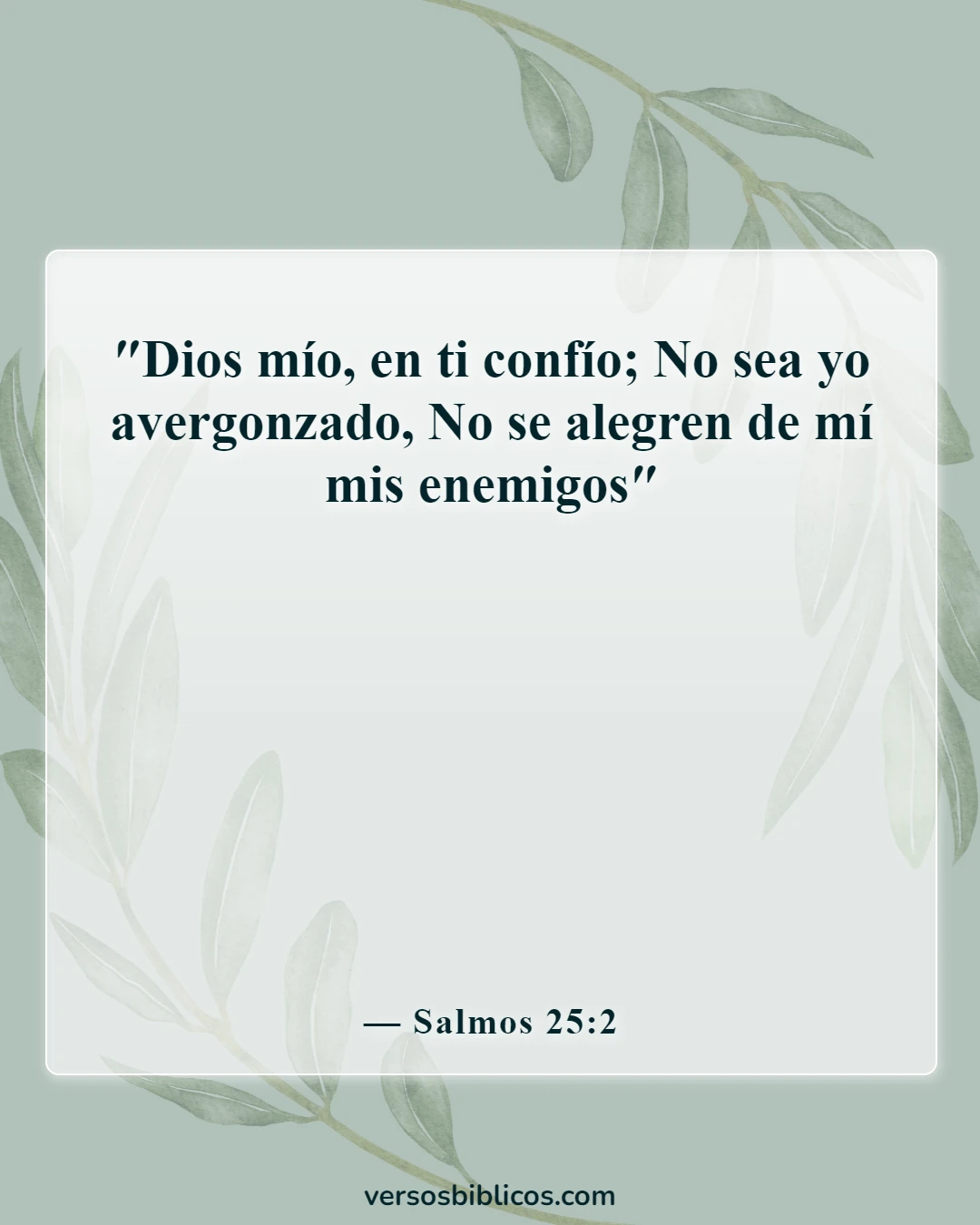 Versículos de la Biblia sobre los salmos más poderosos contra los enemigos (Salmos 25:2)