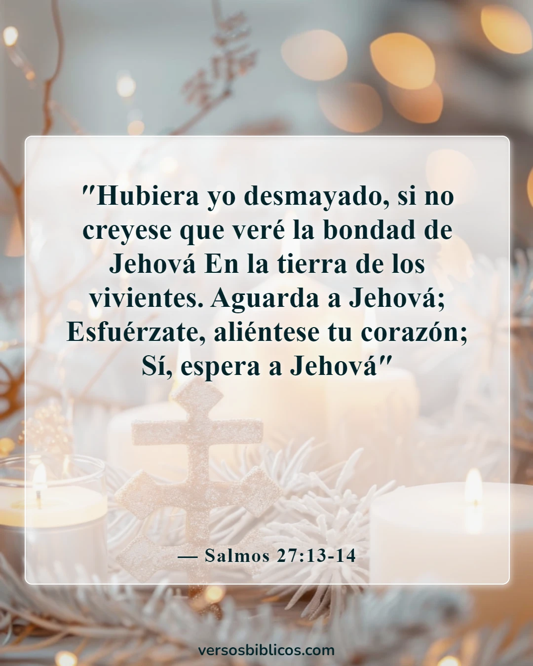 Versículos de la Biblia sobre cómo afrontar desafíos (Salmos 27:13-14)