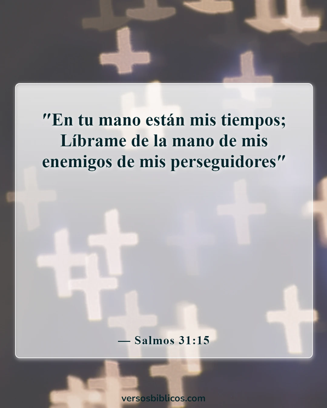 Versículos de la Biblia sobre el tiempo que pasa rápidamente (Salmos 31:15)