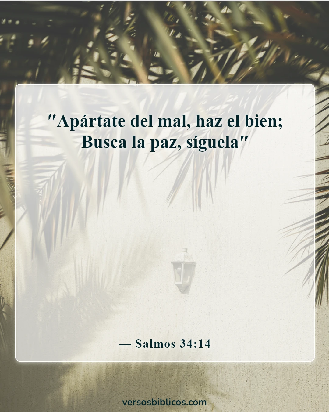 Versículos de la Biblia sobre la paz en la presencia de Dios (Salmos 34:14)
