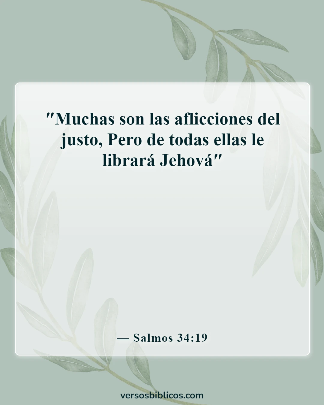 Versículos de la Biblia sobre el duelo por la pérdida de un ser querido (Salmos 34:19)