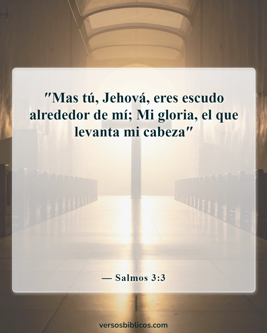 Versículos de la Biblia sobre dificultades y problemas (Salmos 3:3)