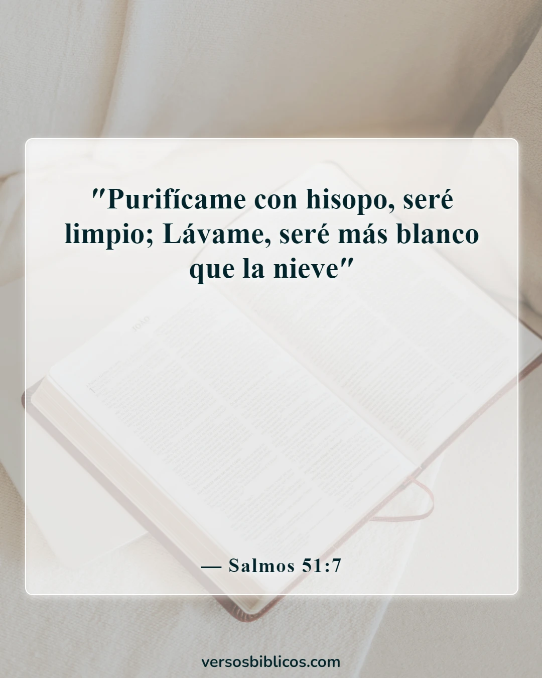 Versículos de la Biblia sobre la limpieza (Salmos 51:7)