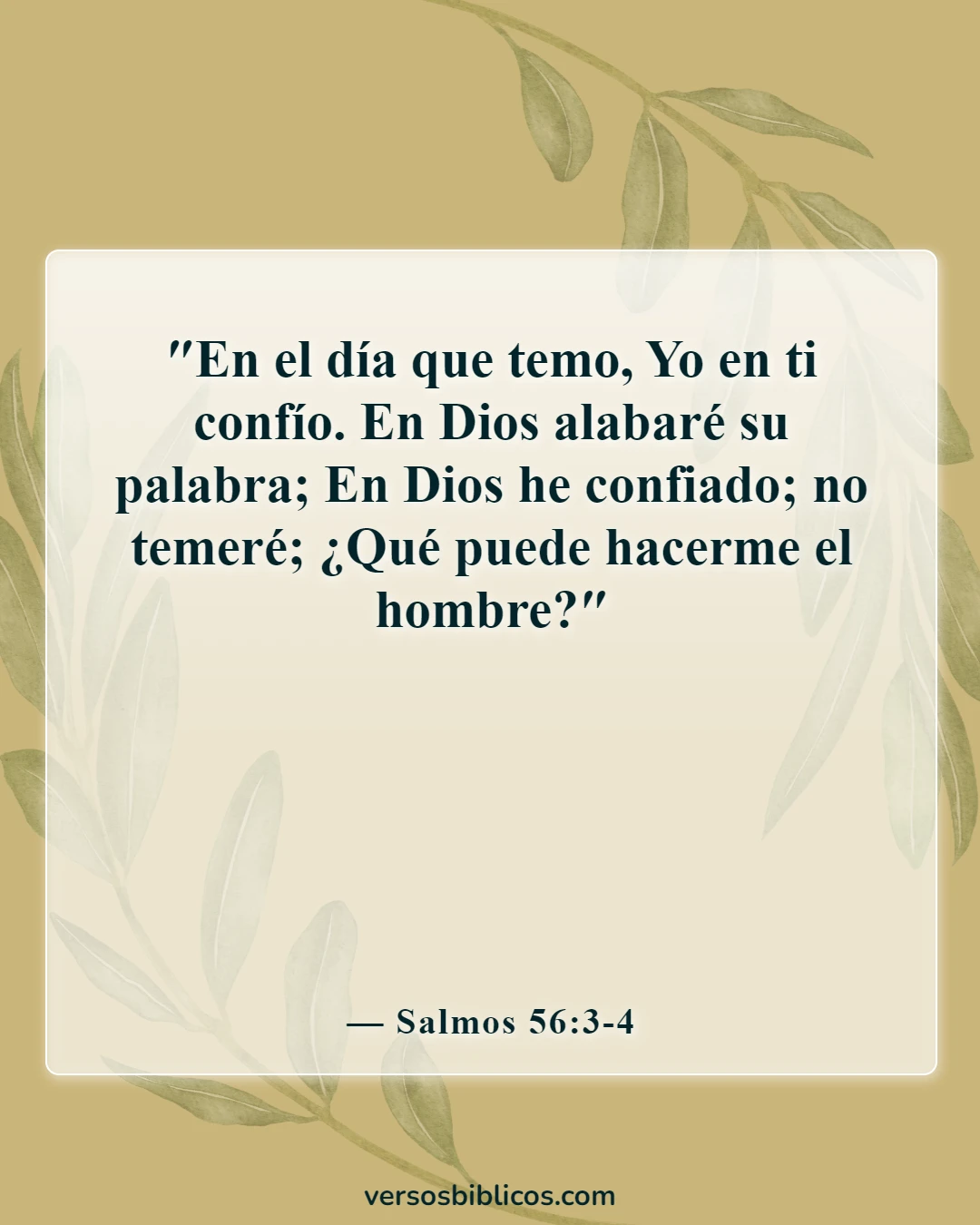 Versículos de la Biblia sobre la mente perturbada (Salmos 56:3-4)