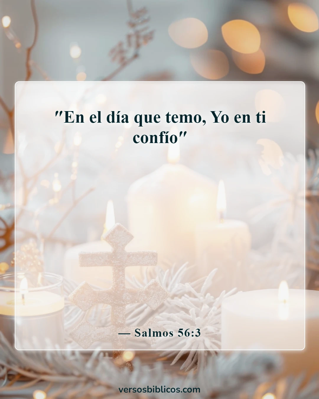 Versículos de la Biblia sobre No temas (Salmos 56:3)