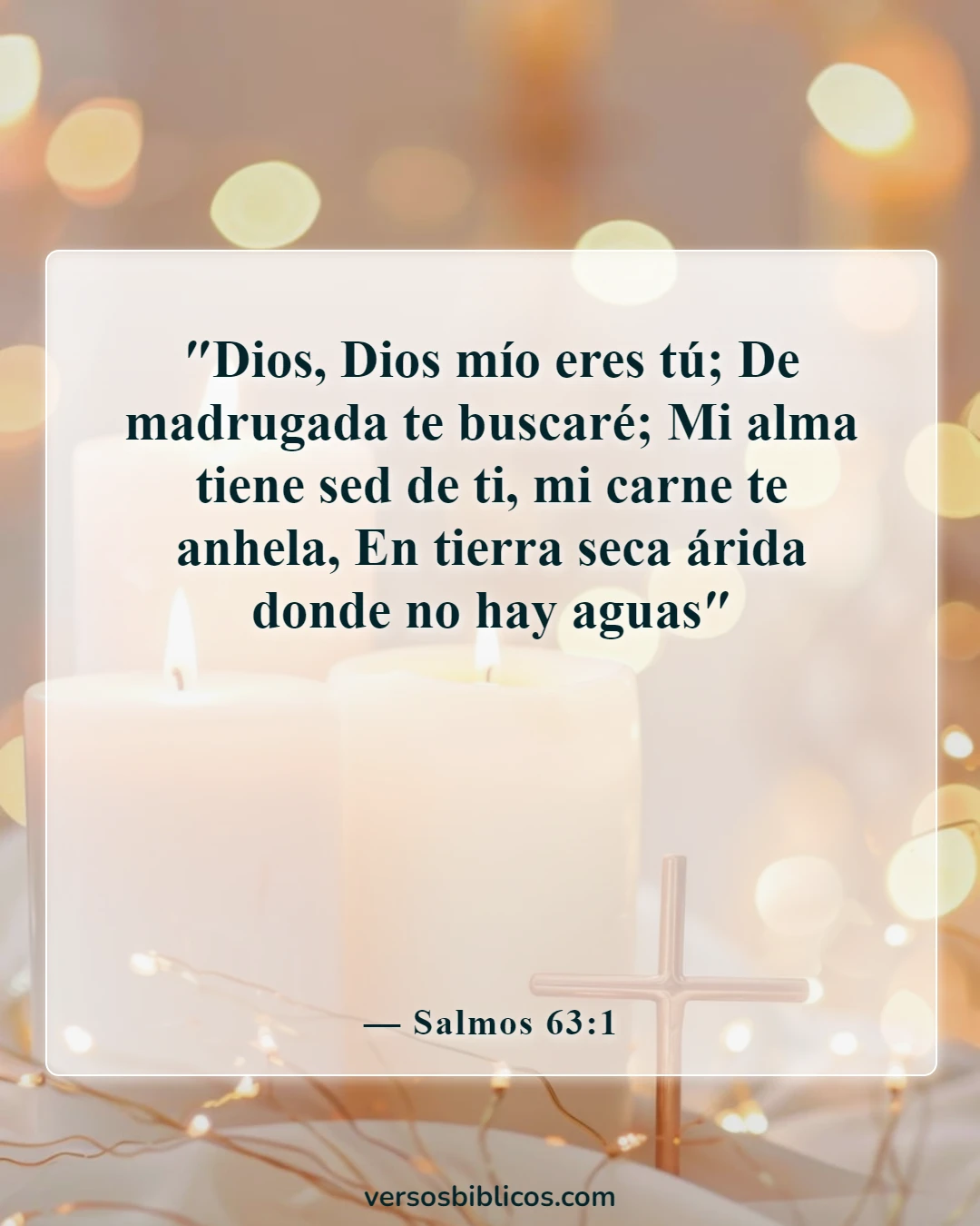 Versículos de la Biblia sobre el alma (Salmos 63:1)