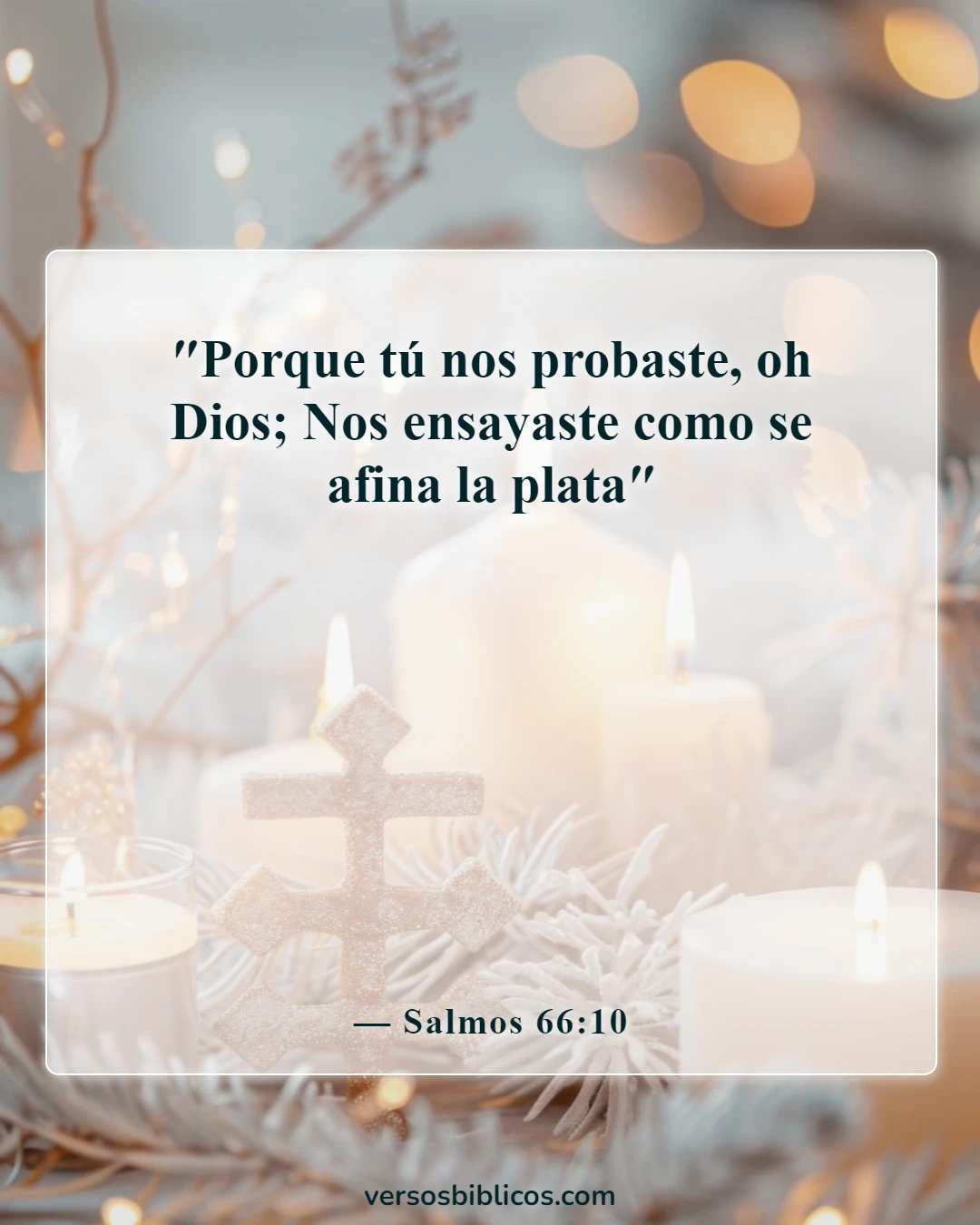 Versículos de la Biblia sobre cuando sientes que todo va mal (Salmos 66:10)
