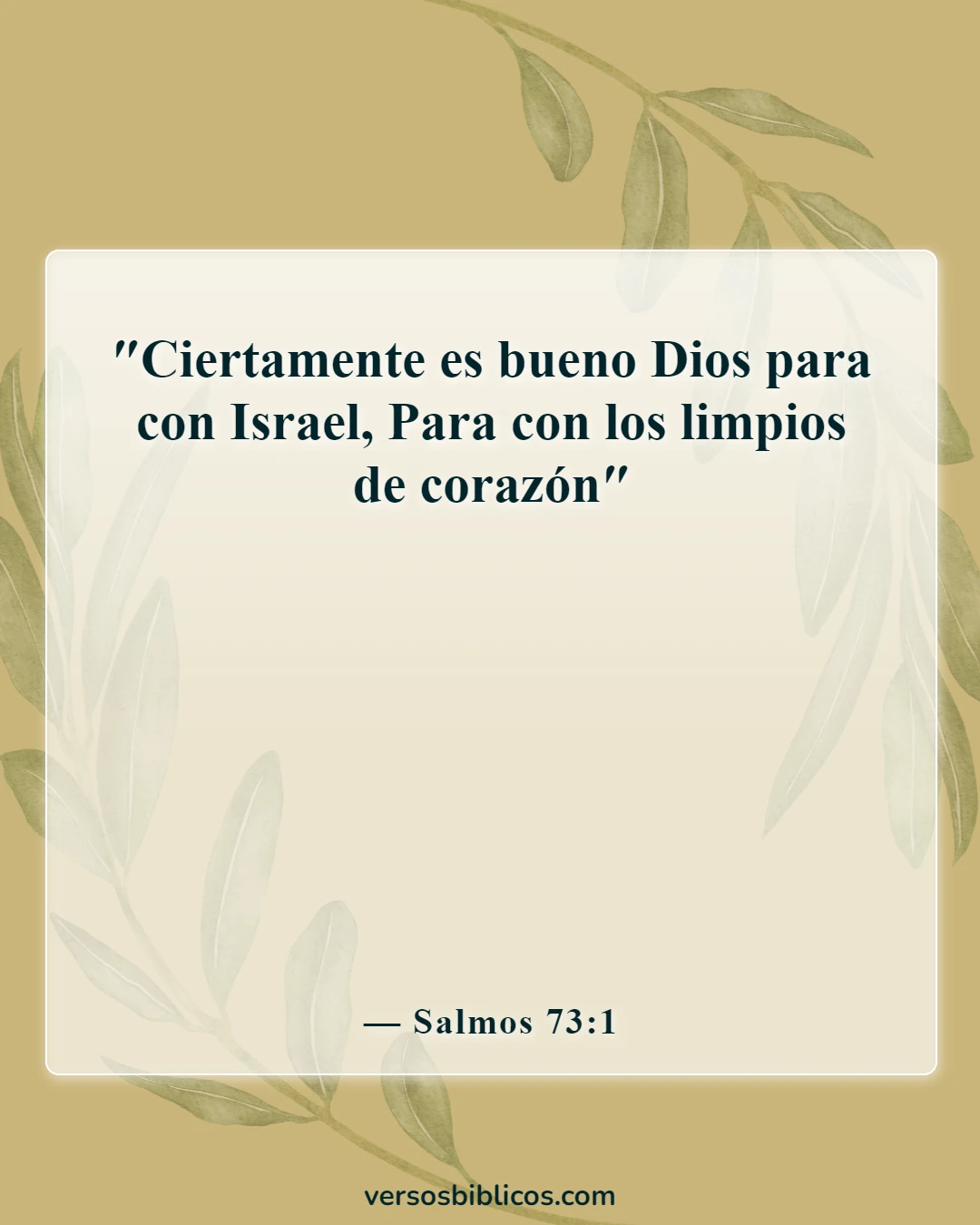 Versículos de la Biblia sobre la limpieza (Salmos 73:1)