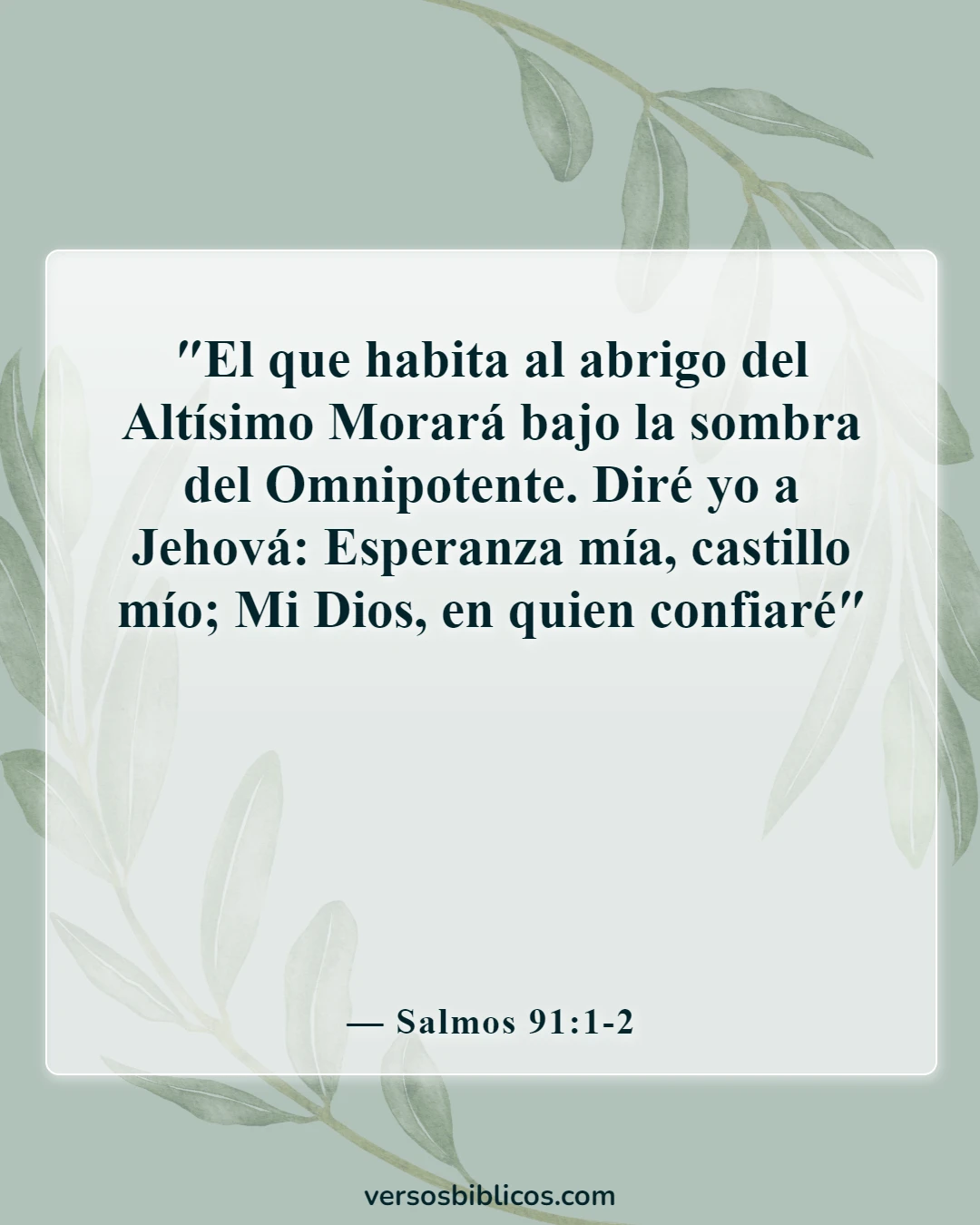 Versículos de la Biblia sobre la soledad (Salmos 91:1-2)