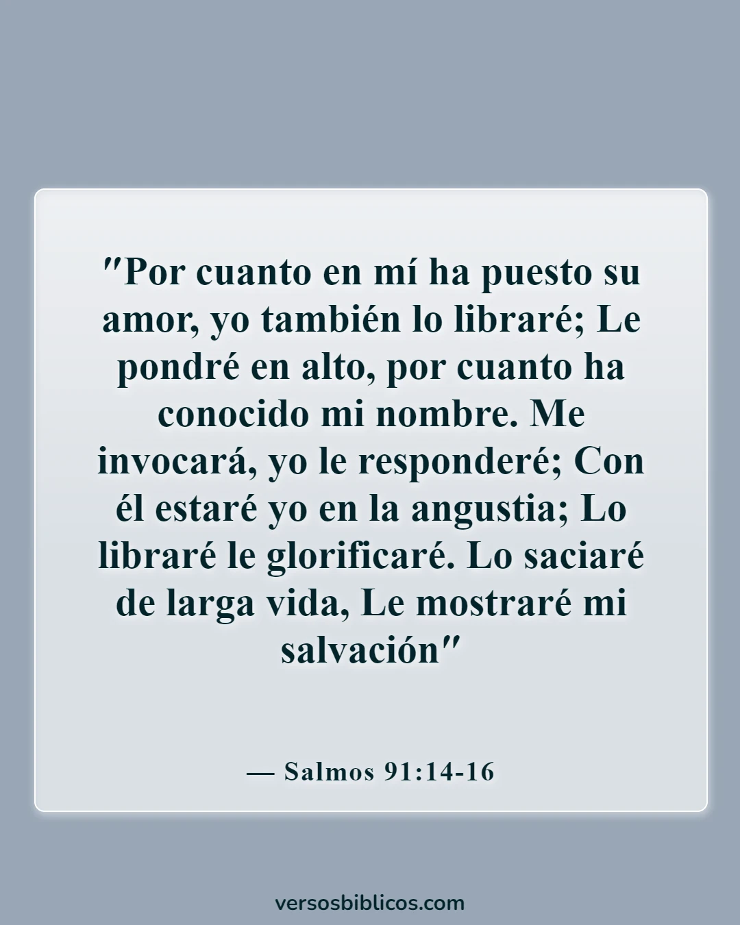 Versículos de la Biblia sobre el dolor y el dolor (Salmos 91:14-16)