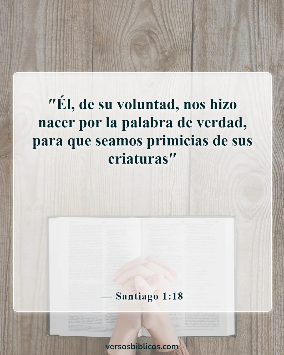 Versículos de la Biblia sobre el renacimiento (Santiago 1:18)