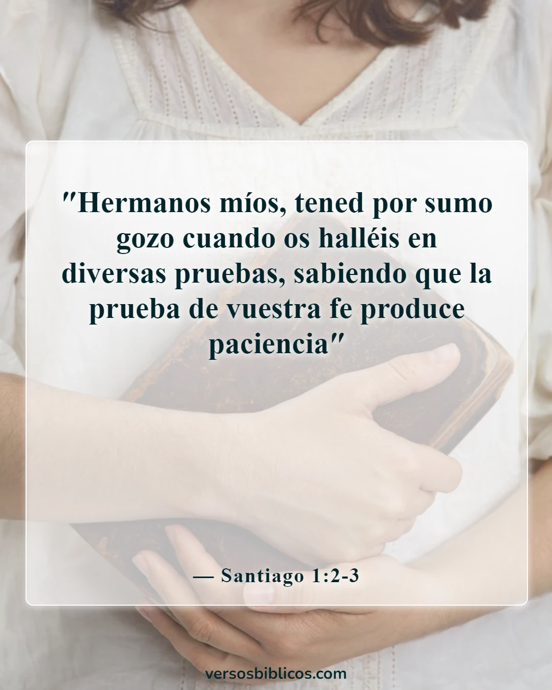Versículos de la Biblia sobre la alegría (Santiago 1:2-3)