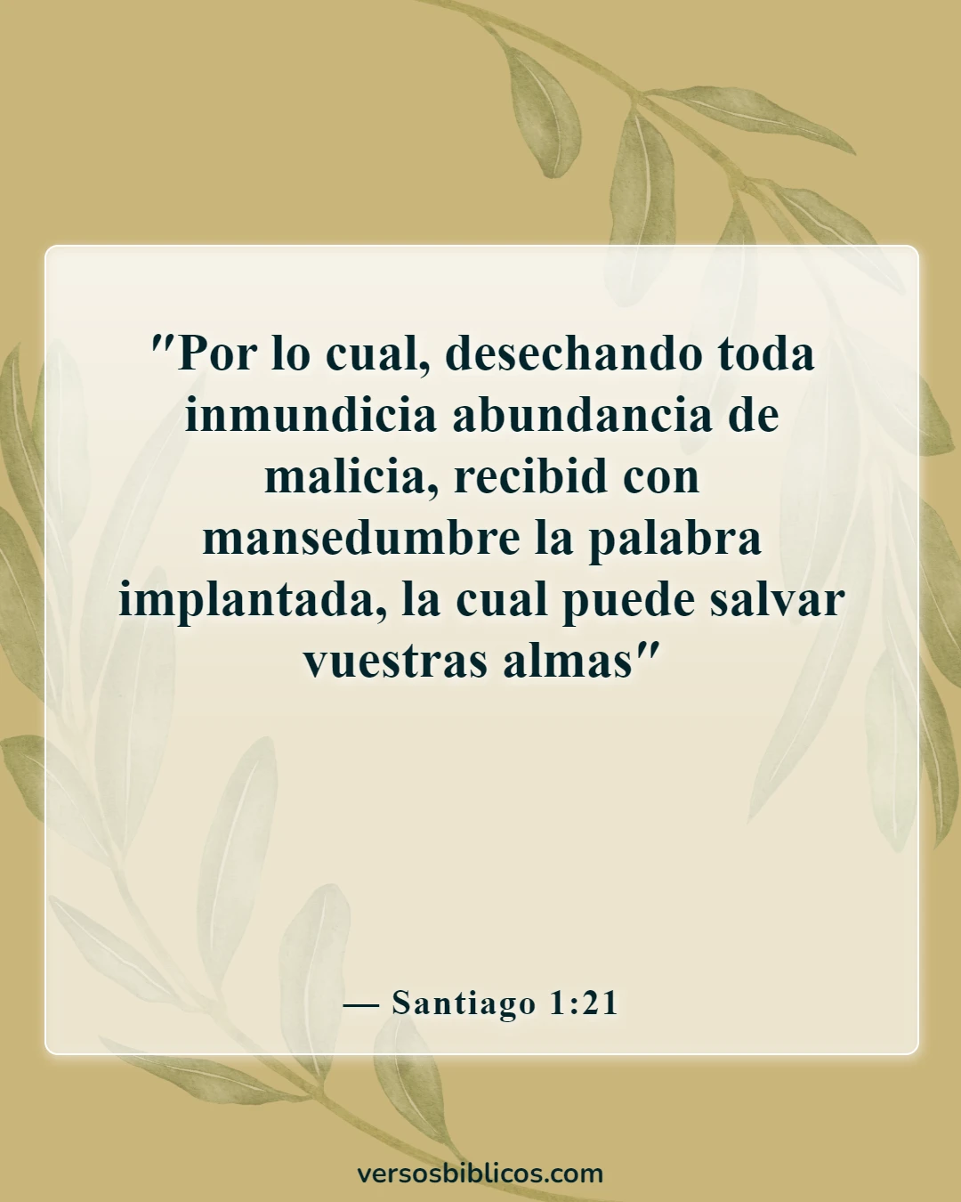 Versículos de la Biblia sobre la Palabra de Dios (Santiago 1:21)