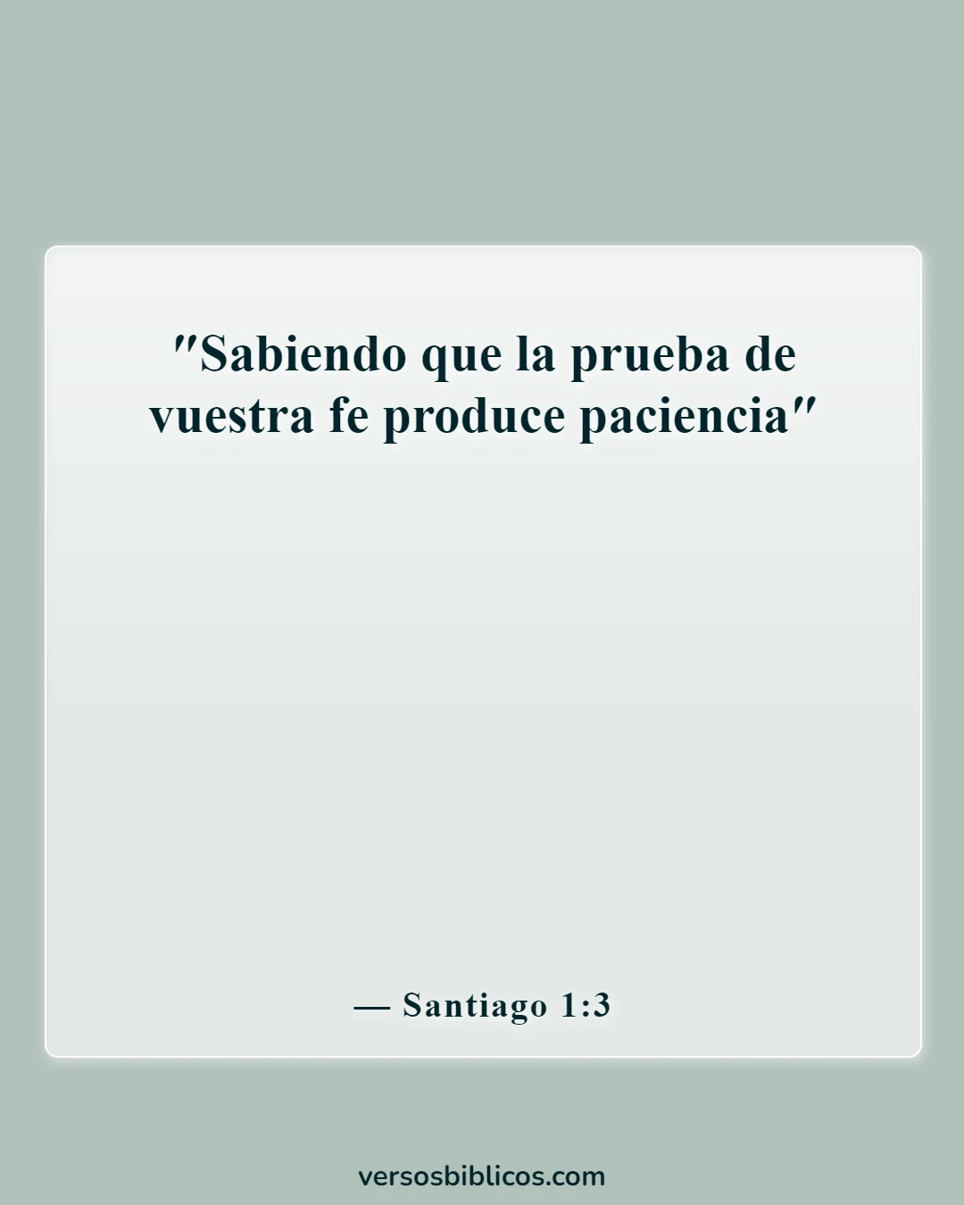 Versículos de la Biblia sobre la esperanza, la paciencia para el bien, bienaventurados (Santiago 1:3)