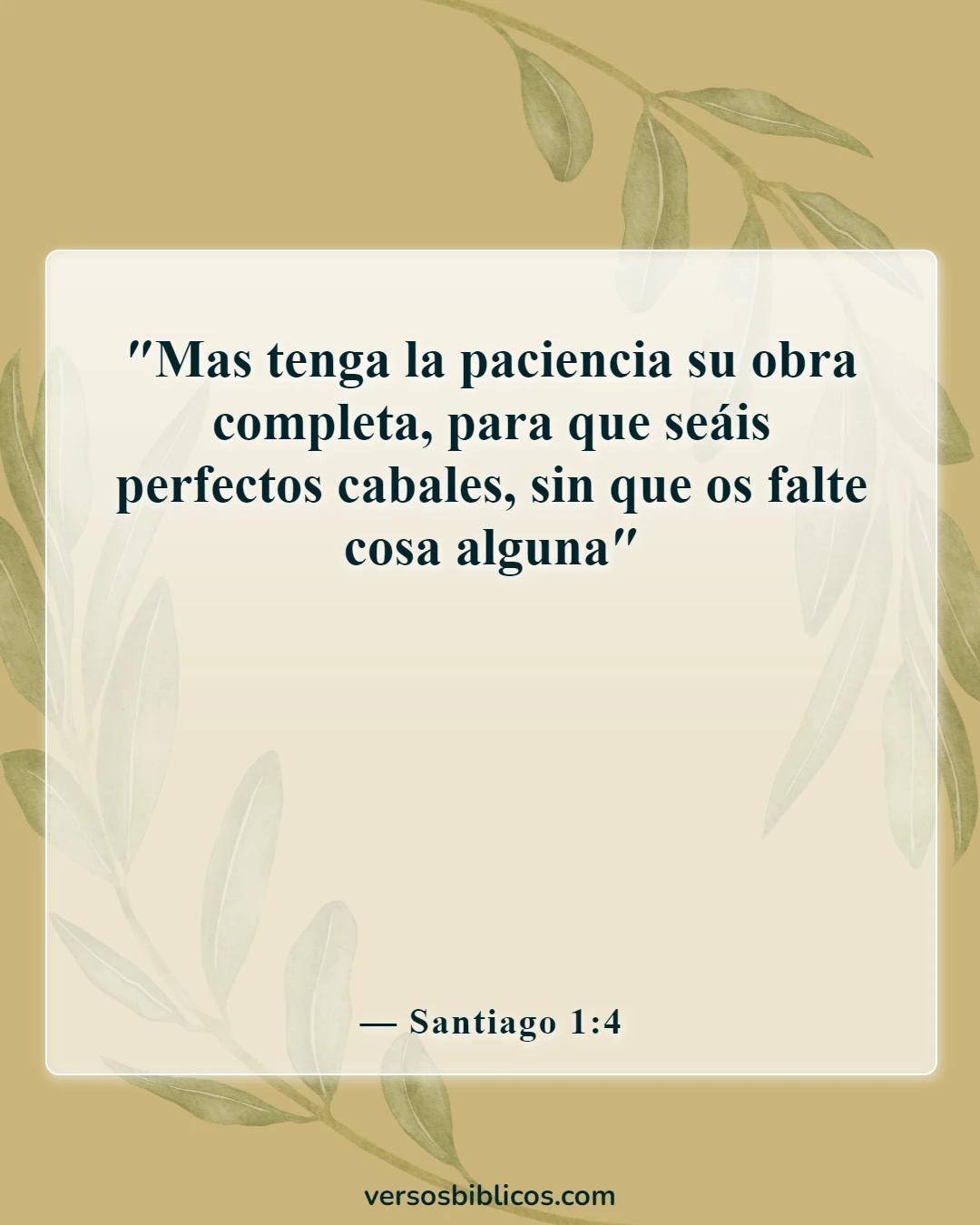 Versículos de la Biblia sobre esperar pacientemente (Santiago 1:4)