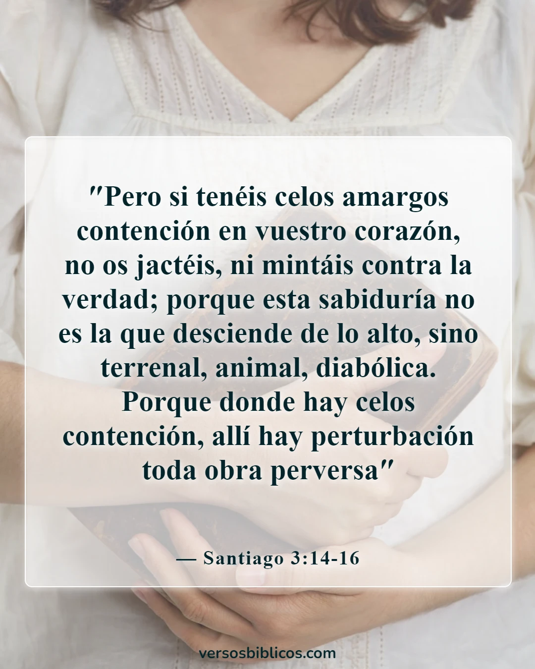 Versículos de la Biblia sobre las consecuencias de la amargura (Santiago 3:14-16)