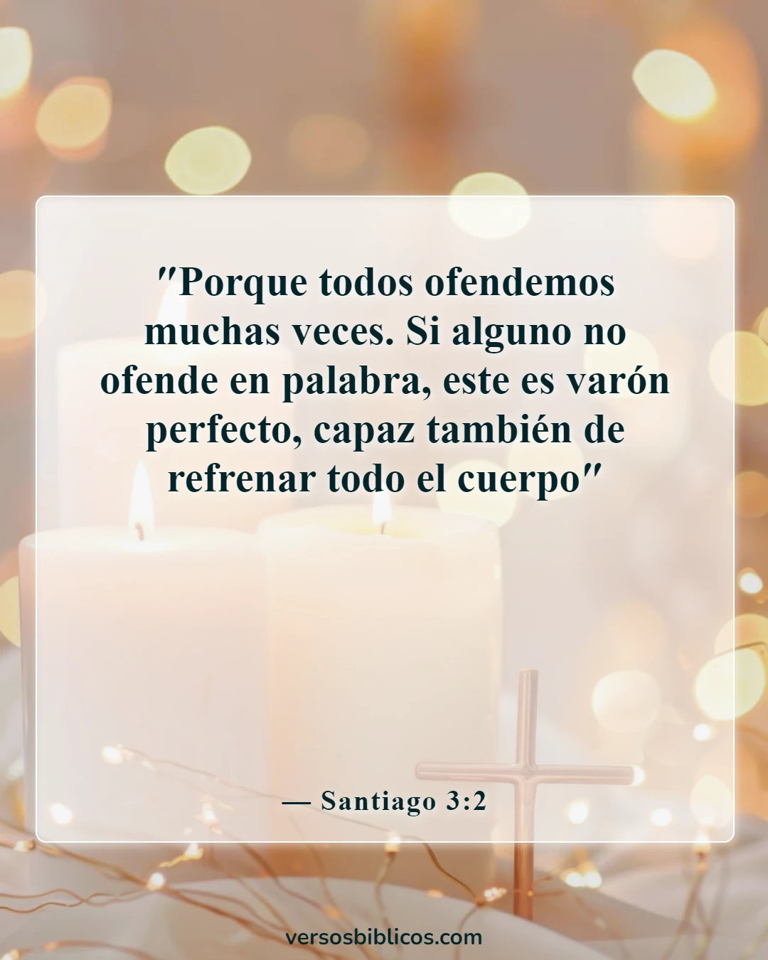 Versículos de la Biblia sobre disculparse con alguien (Santiago 3:2)