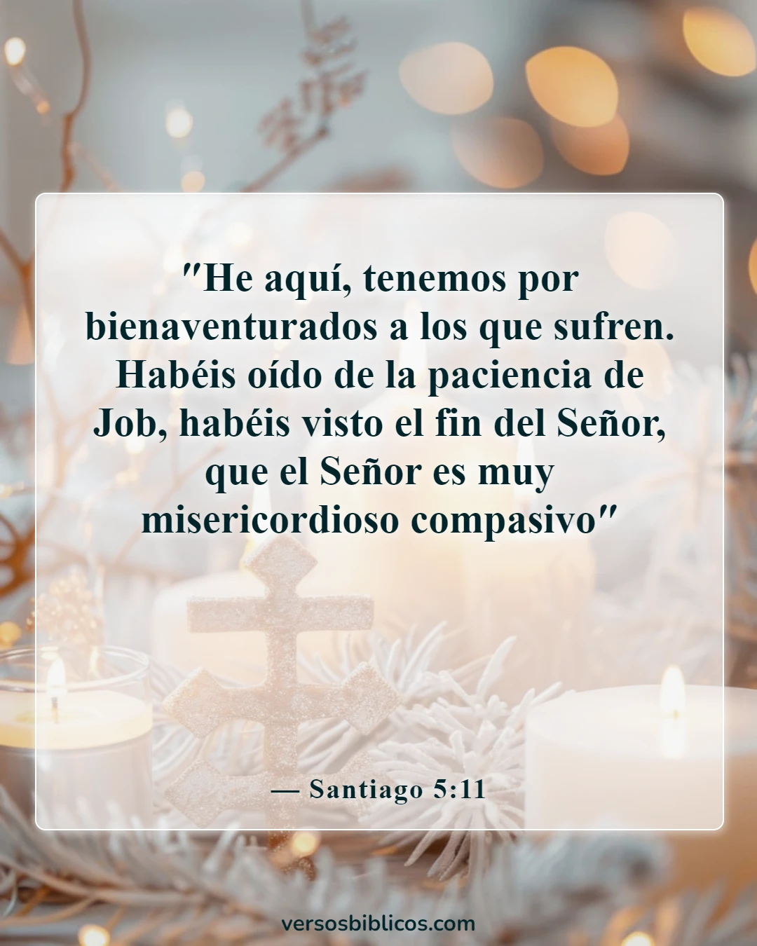 Versículos de la Biblia sobre la resistencia produce carácter (Santiago 5:11)