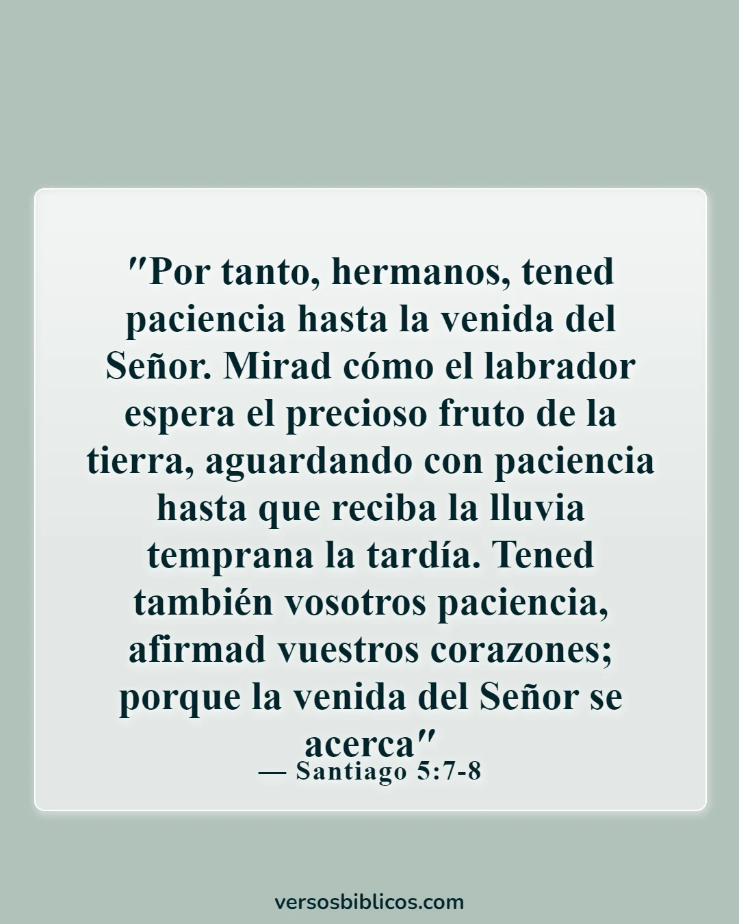 Versículos de la Biblia sobre la perseverancia (Santiago 5:7-8)