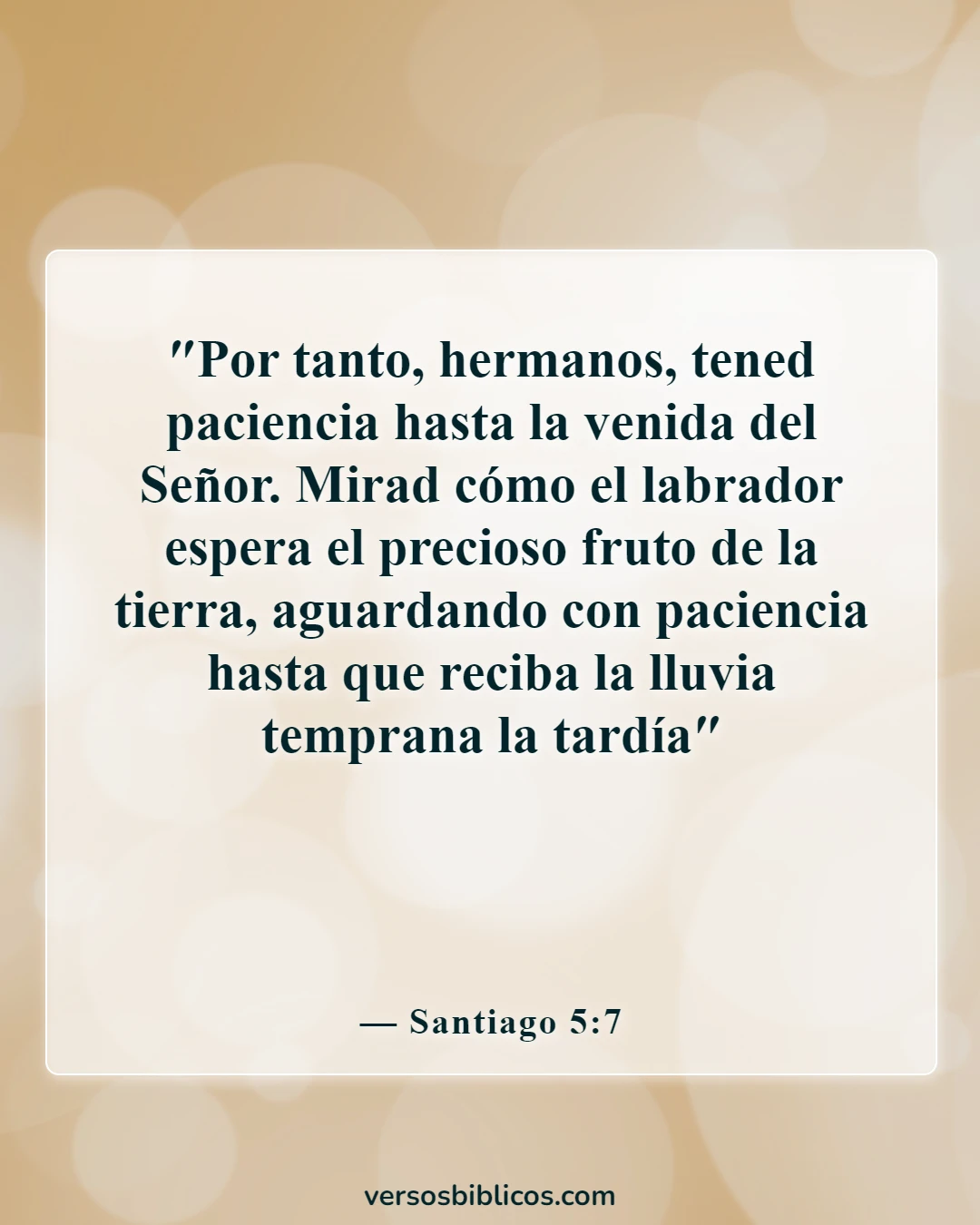 Versículos de la Biblia sobre esperar pacientemente (Santiago 5:7)