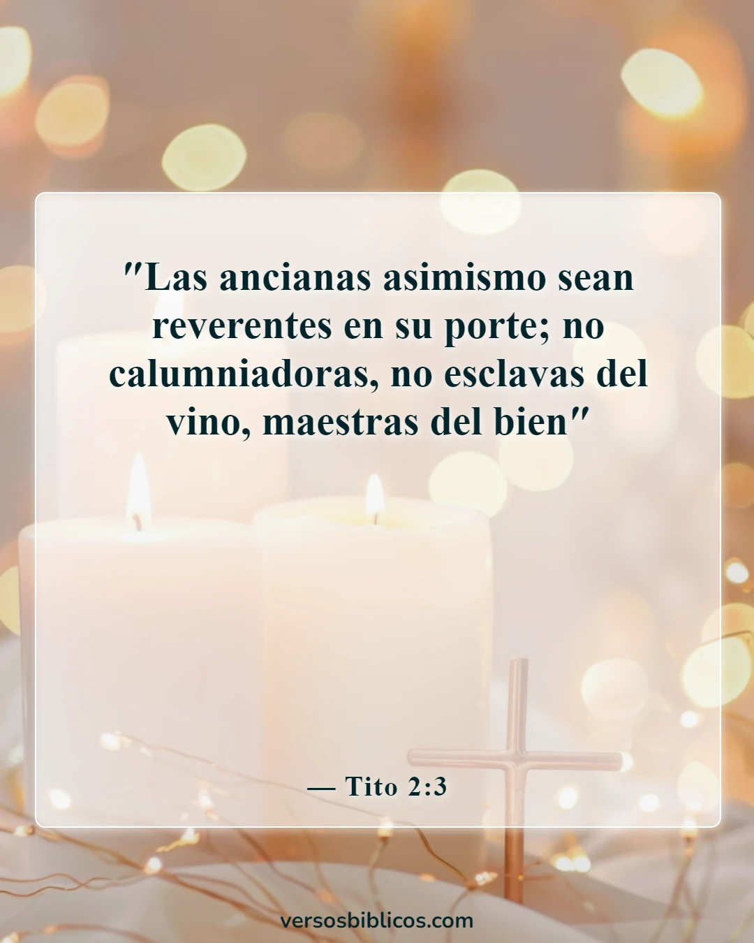 Versículos de la Biblia sobre el vino (Tito 2:3)