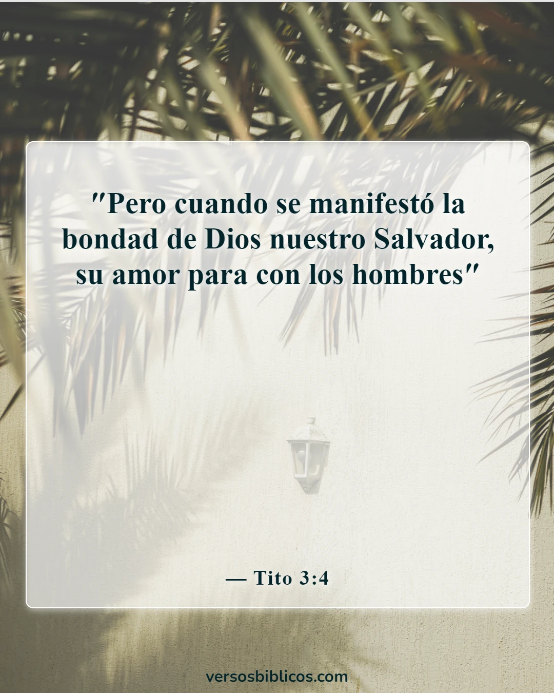Versículos de la Biblia sobre el amor y la compasión (Tito 3:4)