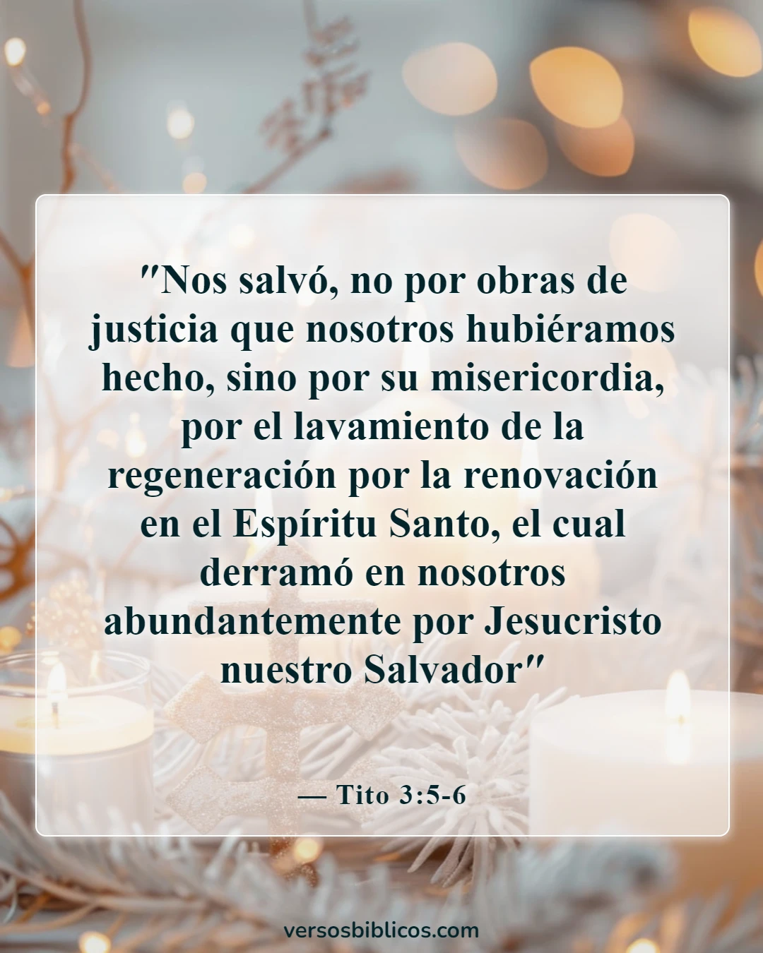 Versículos de la Biblia sobre el renacimiento (Tito 3:5-6)